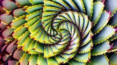 Della Pietra Lecture Series Presents Dr. Manjul Bhargava, December 9-11, 2019 shutterstock_624139943
