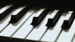 Summer Concert Series at the Simons Center